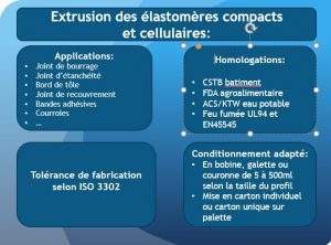 Extrusion thermoplastique France
